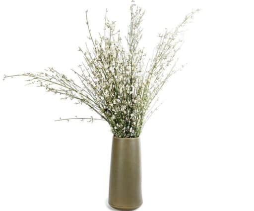 Vase Aube Ø8,8 CM / H22 CM - Kaki